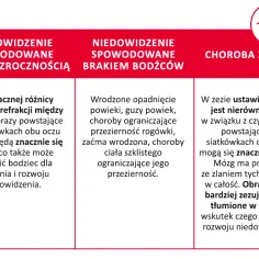 Różnice w wadzie refrakcji, brak bodźców lub zez mogą powodować niedowidzenie. Obrazy z oka zezującego są tłumione w mózgu.