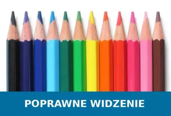 Jakich kolorów nie widzi daltonista? Obalamy mit czerni i bieli